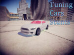 Cascadorii cu mașini de tuning