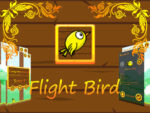 FlightBird: cea mai distractivă experiență
